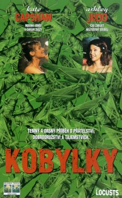 Plakát: Kobylky