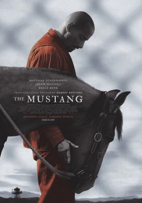Plakát: Divoký mustang
