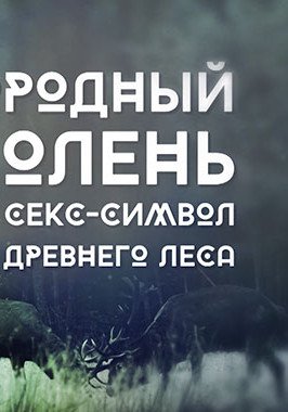 Plakát: Jelen: Symbol starého lesa
