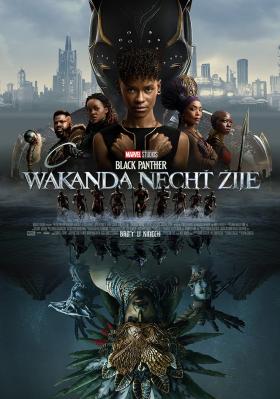 Plakát: Black Panther: Wakanda nechť žije