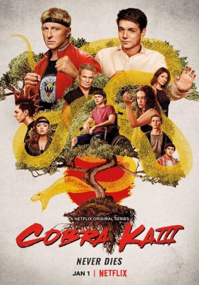 Plakát: Cobra Kai [3. série]