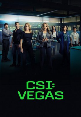 Plakát: Kriminálka Vegas [2. série]