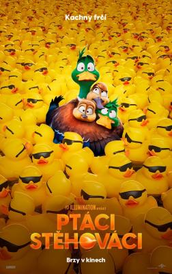 Plakát: Ptáci stěhováci