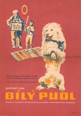 Plakát: Bílý pudl