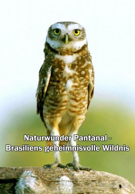 Plakát: Pantanal, brazilský přírodní zázrak