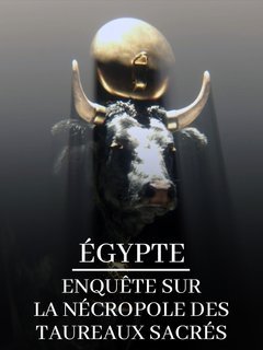 Plakát: Egypt: Pohřebiště posvátných býků