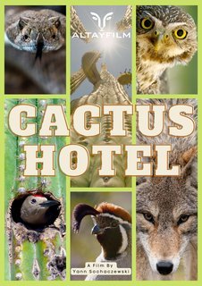 Plakát: Hotel Kaktus