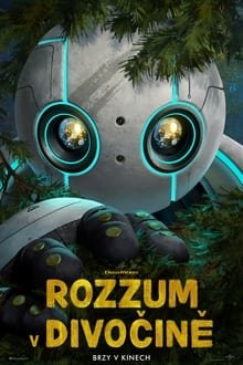 Plakát: Rozzum v divočině