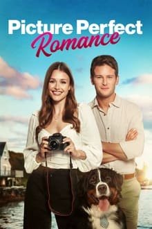 Plakát: Dokonalá romance