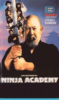 Plakát: Ninja Academy