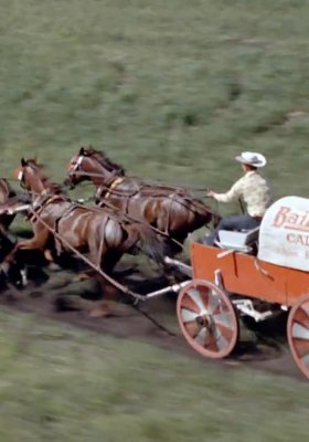 Plakát: Jezdci z Calgary