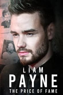 Plakát: Liam Payne: Cena za slávu