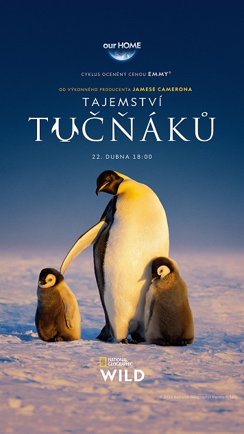 Plakát: Tajemství tučňáků [1.série]