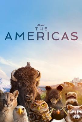 Plakát: The Americas [1.série]