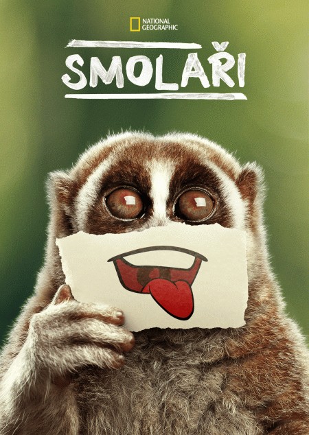Plakát: Smolaři [1.série]
