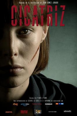 Plakát: Jizvy osudu [1.série]