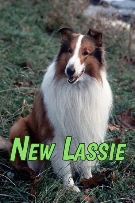 Plakát: Nové příběhy Lassie