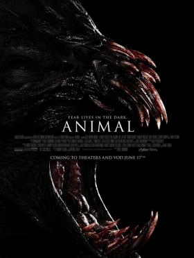 Plakát: Animal