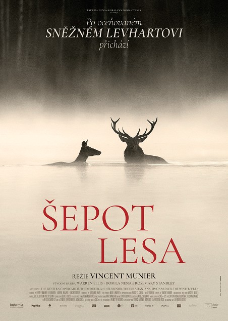 Plakát: Šepot lesa