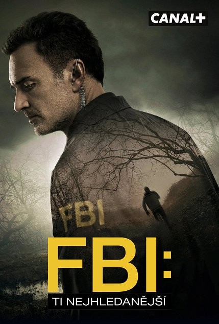 Plakát: FBI: Ti nejhledanější [1.série]
