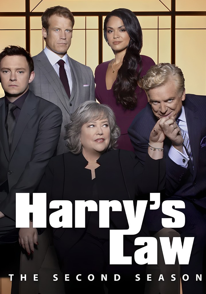 Plakát: Drsná Harry [2.série]