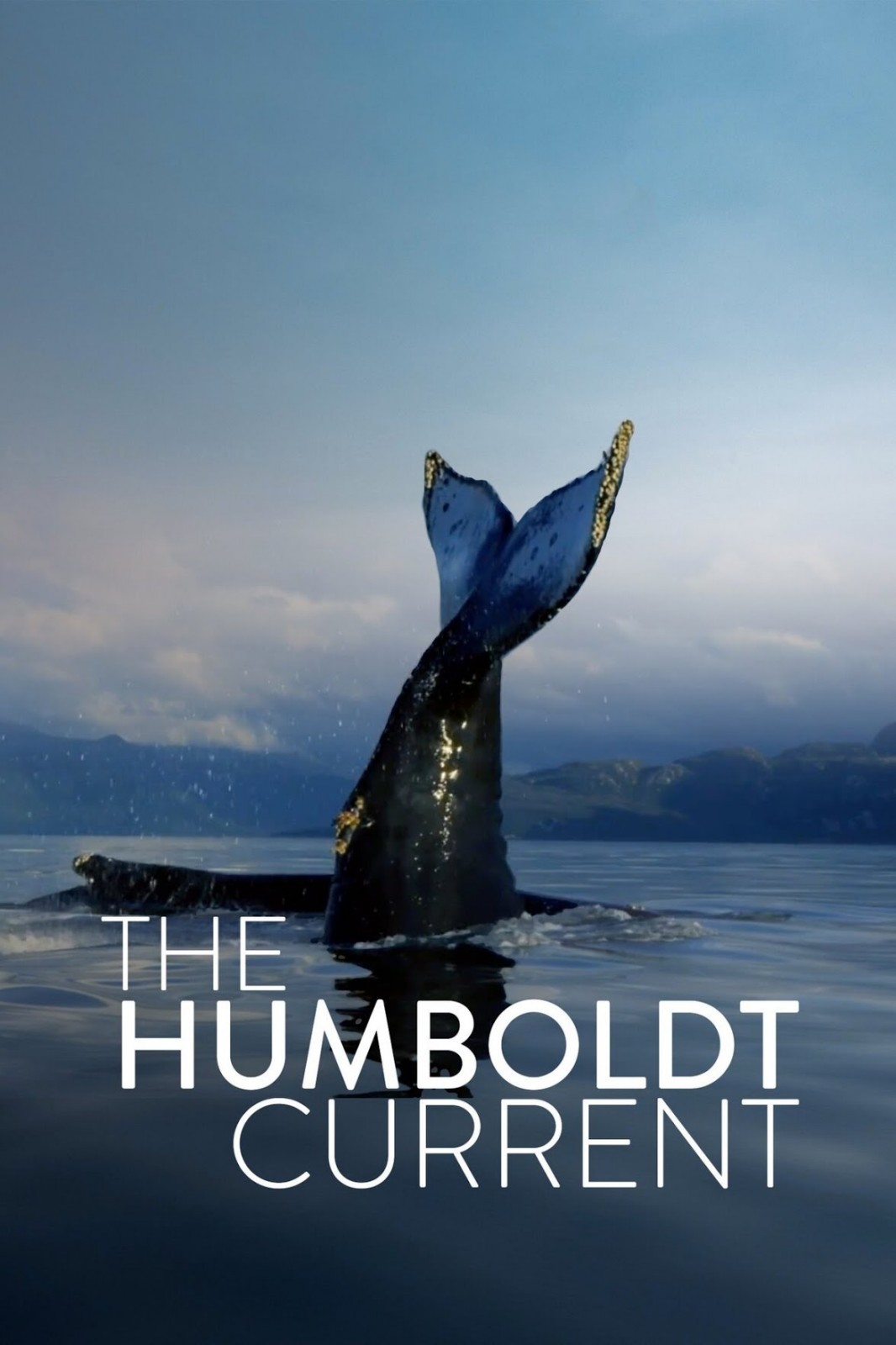 Plakát: Humboldtův proud [1.série]