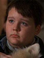 Jason McGuire
